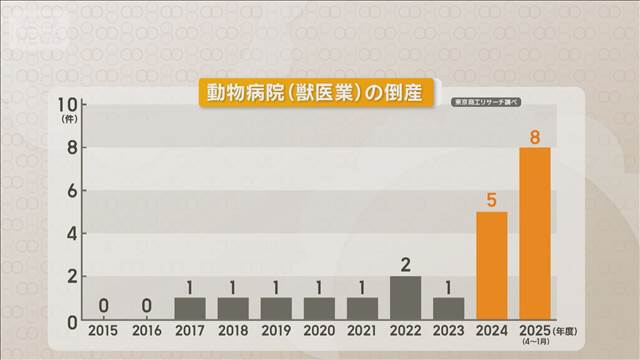 動物病院の倒産が過去最多　医療機器への投資負担で業績悪化　獣医師の高齢化も