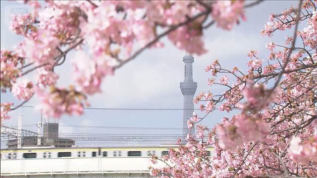 関東甲信で今年初の夏日 山梨・南部町25℃到達　春一番が気温押上げ