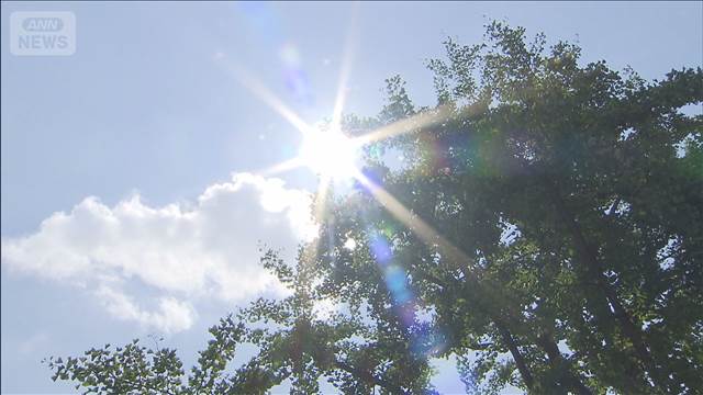 気温40度以上の日を何と呼ぶ？ 気象庁が13の候補を発表