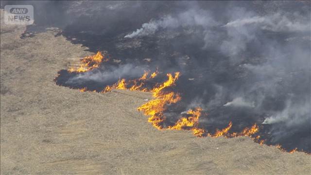 栃木県や埼玉県などにまたがる渡良瀬遊水地で火事　広い範囲で黒煙