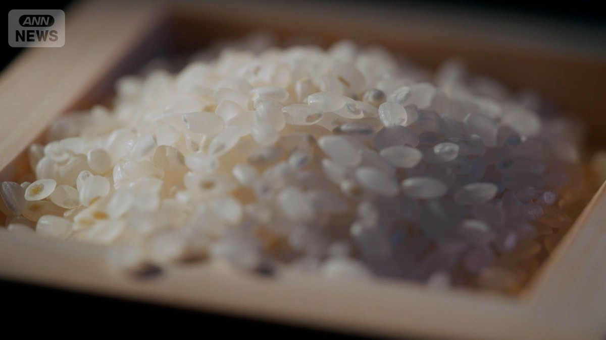 卸などへのコメ販売量　1月末として過去最少　価格高騰で精米量も低水準