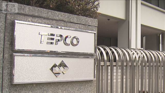 東電が再エネ事業者に初の出力制御　好天で太陽光発電量が供給過多