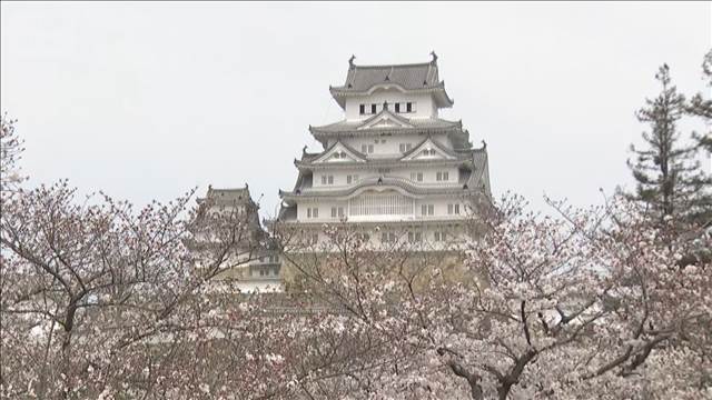 姫路城の「二重価格」開始　市民以外は入城料2500円　18歳未満は一律無料