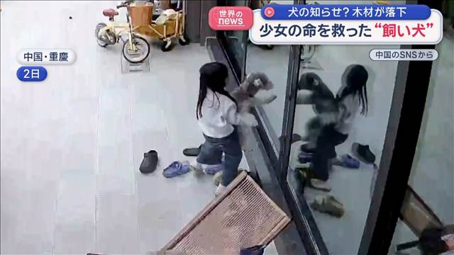 少女を命を救った“飼い犬”　犬の知らせ？木材が落下　中国