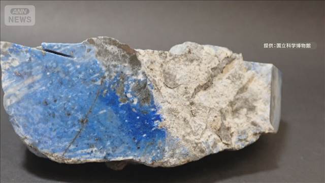国内初発見のラピスラズリだった　新潟のヒスイ愛好家が10年ほど前に採取の岩石