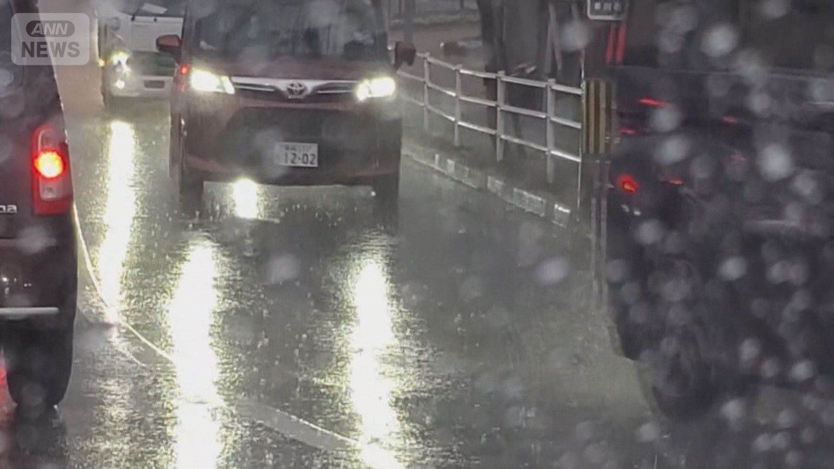 今年一番の激しい雨も 列島広範囲で雷雨の恐れ
