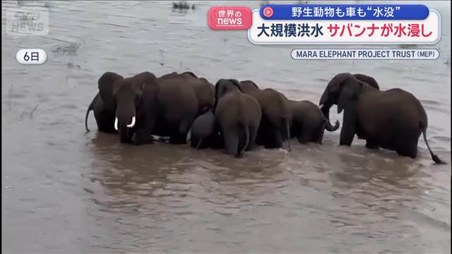 サバンナが水浸し！野生動物もそれ目当ての観光客も水没の危機に