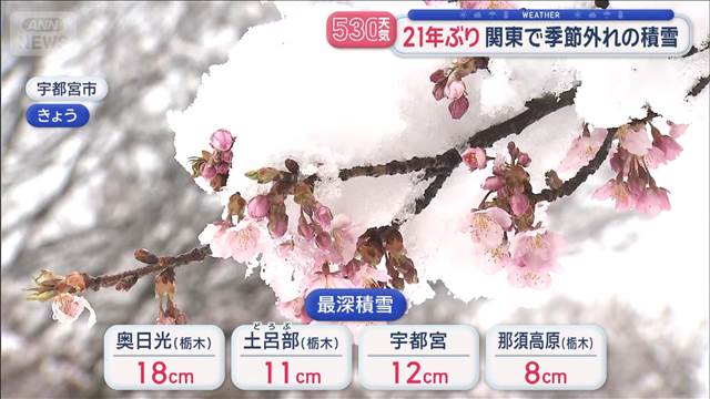 【全国の天気】21年ぶり関東で季節外れの積雪　あす天気回復も気温は上がらず
