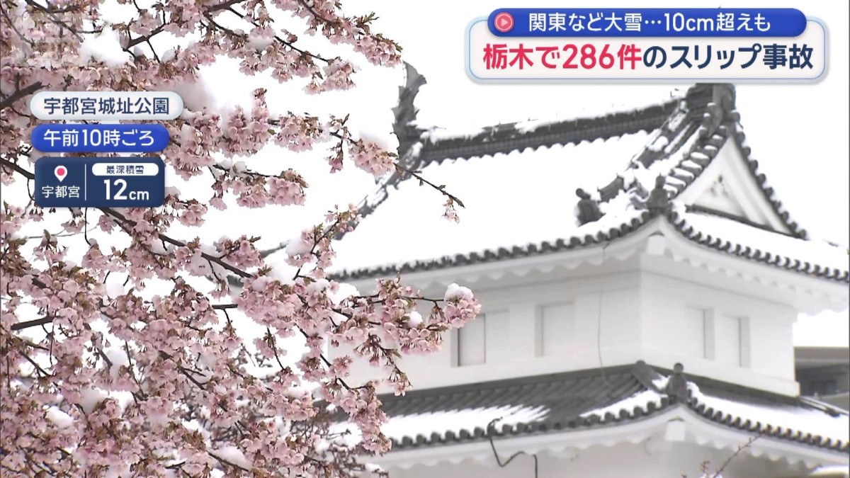 関東など大雪…10cm超えも　栃木で286件のスリップ事故　都心は真冬の寒さに