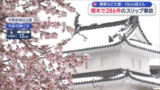 関東など大雪…10cm超えも　栃木で286件のスリップ事故　都心は真冬の寒さに