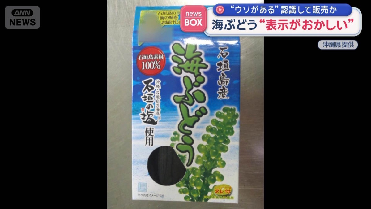 “ウソがある”認識して販売か　海ぶどう“表示がおかしい”