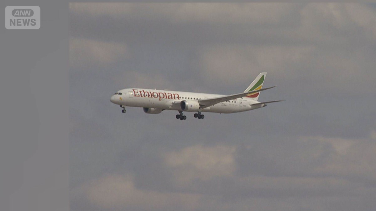 政府チャーター機に韓国人ら12人も同乗　中東退避　6便目で希望者全員帰国へ