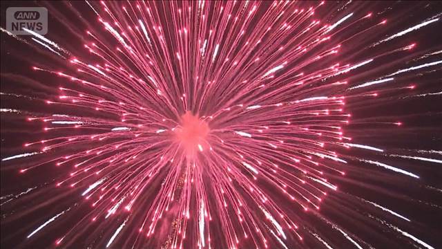 3.11の夜空に追悼の花火　「変わっていないところも」