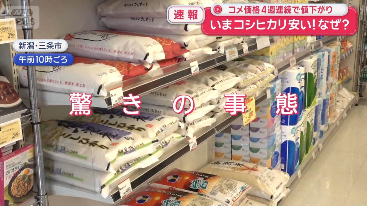 いまコシヒカリが安い！なぜ？　コメ価格4週連続で値下がり