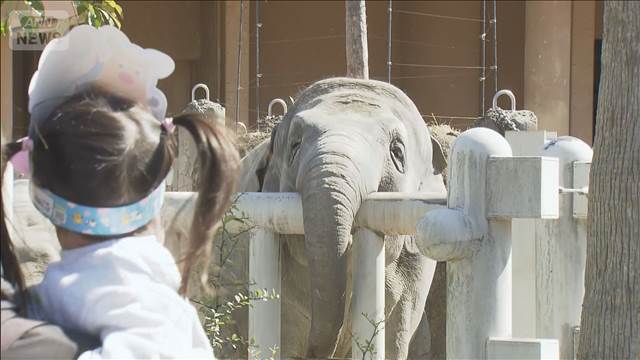 東山動植物園で「春まつり」　開園から家族連れでにぎわう