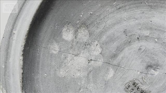 古墳時代の土器にネコの足跡？　平安初期よりも前からネコは身近な存在だったか