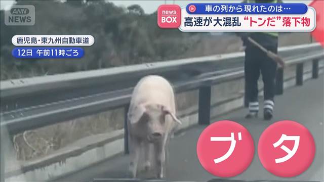 高速が大混乱 “トンだ”落下物　車の列から現れたのは…