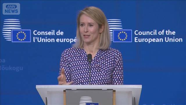 EU海軍部隊のホルムズ海峡派遣に慎重姿勢　外交的解決の必要性を強調