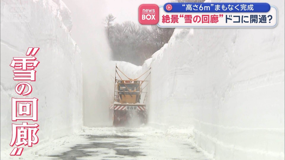 絶景“雪の回廊”ドコに開通？ “高さ6m”まもなく完成