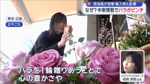 原油高騰でバラもピンチ　補助金で安くなる？