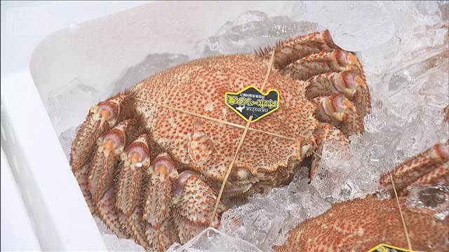 「海明け毛ガニ」初競り1万1390円　札幌市