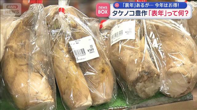 タケノコ豊作「表年」って何？　「裏年」あるが…今年はお得！