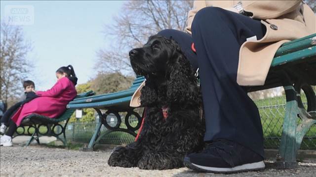 パリ市長選の争点は犬の散歩道確保　各候補、愛犬家意識した公約競う　　