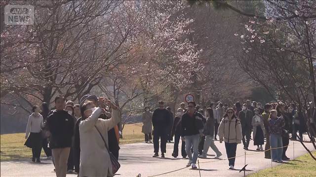 皇居・乾通り 春の一般公開　桜でにぎわい「感激した」