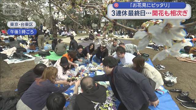「お花見にピッタリ」　3連休最終日 桜の開花も進み“春”実感
