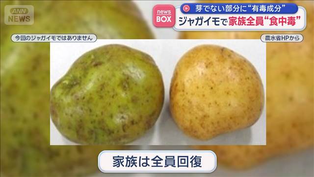 ジャガイモで家族全員“食中毒”　芽でない部分に“有毒成分”
