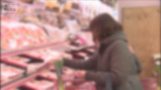 物価上昇率4年ぶり2％下回る　暫定税率廃止や電気・ガス代補助で　イラン情勢反映せず