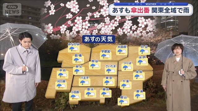 【関東の天気】冷たい雨でも…水戸と銚子で桜開花　あす気温上がらずまだ冬物OK