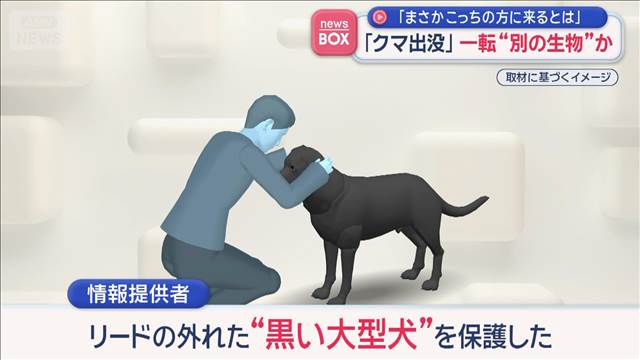 「クマ出没」一転“別の生物”か　「まさかこっちの方に来るとは」
