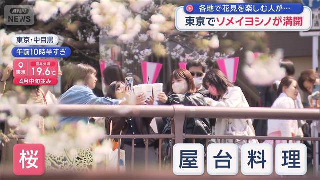 各地で桜が見ごろ 花見を楽しむ人も 東京ではソメイヨシノが満開　