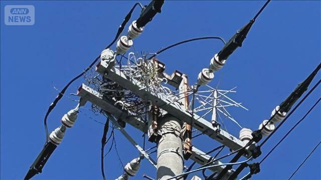 電柱にハンガー等で作られたカラスの巣　停電の原因に　電力会社「見つけたら連絡を」