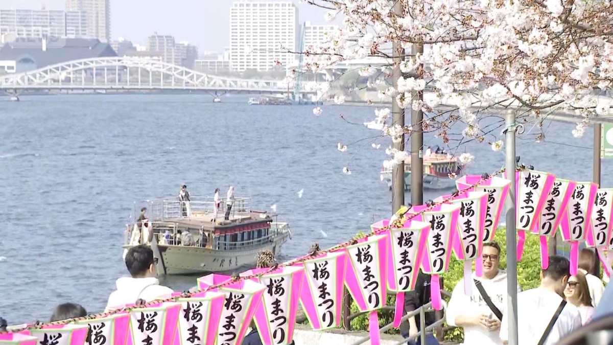 “花見日和”5月並みの陽気も　東京など桜満開