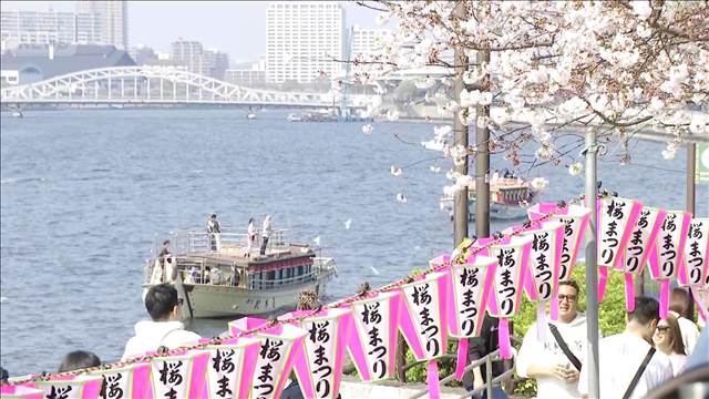 “花見日和”5月並みの陽気も　東京など桜満開