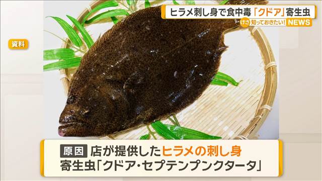 ヒラメの刺し身で食中毒、13人が嘔吐などの症状　寄生虫クドアが原因　島根・浜田市