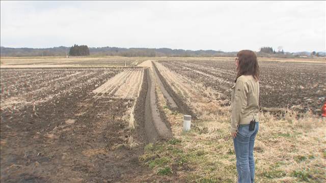 田植え準備のコメ農家悲鳴　トラクターの燃料高騰　「節約には限界ある」