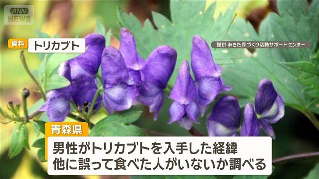 トリカブト食べた男性が意識不明に　ニリンソウと間違える　見分け困難