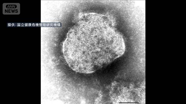 【速報】はしかの全国患者数1週間で13人　今年すでに152人が感染　去年の3倍以上