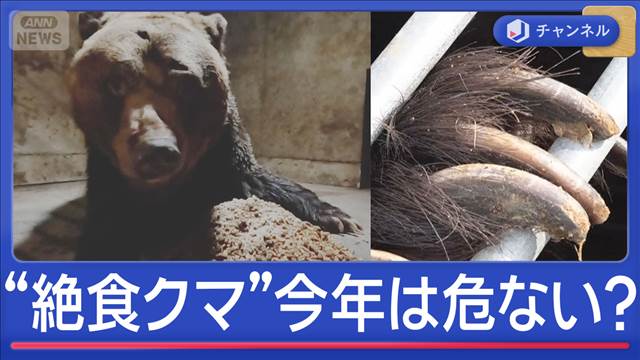 冬眠明けの“絶食クマ”は興奮状態で危険