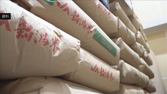 コメ民間在庫率 2カ月連続で過去最大　下落傾向もまだ高い価格が一因