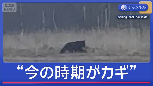 被害防止のカギは春？クマ対策が本格始動