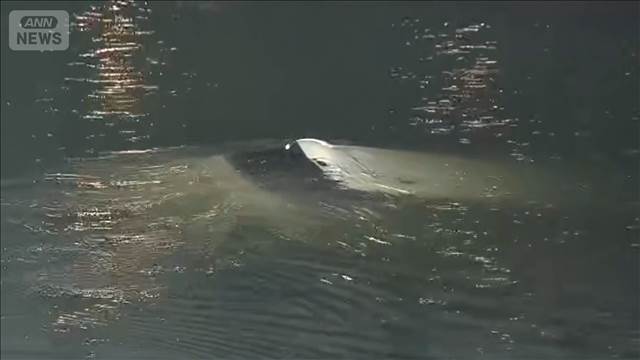 衝突事故で女を現行犯逮捕　車が川へ転落　女性（59）死亡