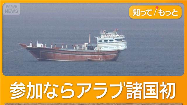 UAEがホルムズ海峡開放へ軍事的関与検討　機雷撤去の協力など　参加ならアラブ諸国初