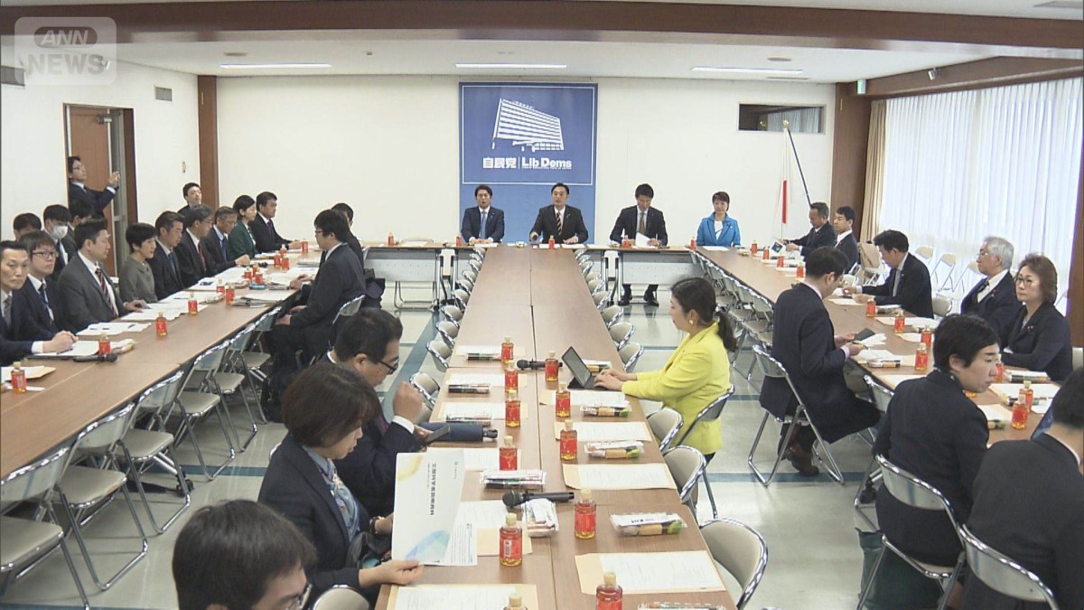 辺野古沖転覆事故めぐり自民党部会　自民議員から「何が平和教育？」と指摘の声