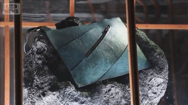 「ティラノサウルス由来の革製バッグ」美術館に登場　研究者から疑問の声も　オランダ