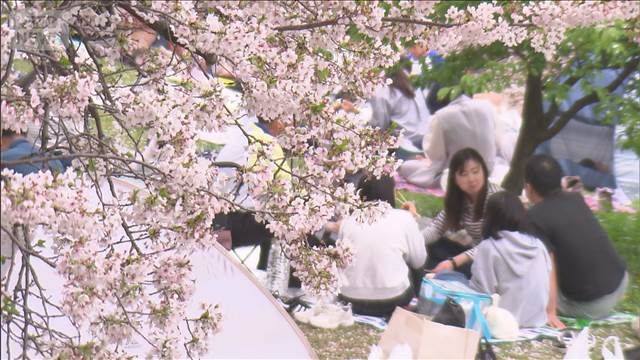 季節外れの暖かさ 夏日続出で初夏の陽気　“開花・満開”も各地から