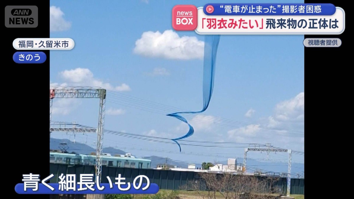 電車停止飛来物